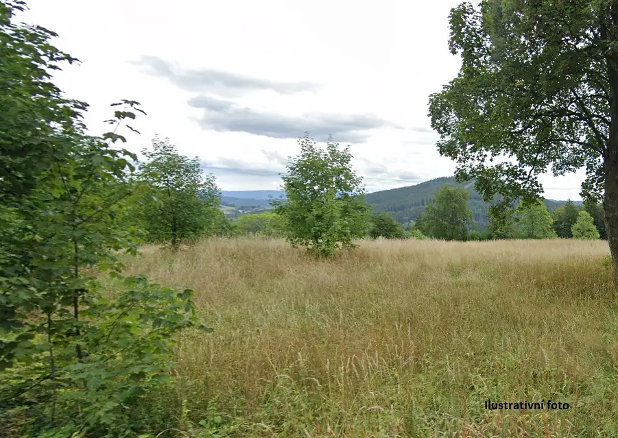Prodej komerčního pozemku 12123 m², Jiřetín pod Bukovou • Sreality.cz